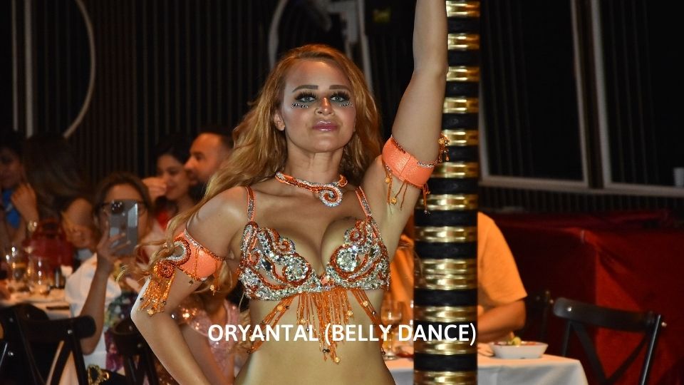 Bosphorus Dinner Cruise (Soft Drinks & Local Alcohols + Dinner + Hotel Transfers)